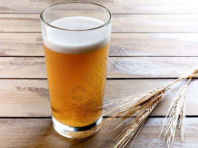 寒冷的苍白一杯啤酒木制背景上有麦穗旧木板上的玻璃杯啤酒背景上有麦穗喝背景