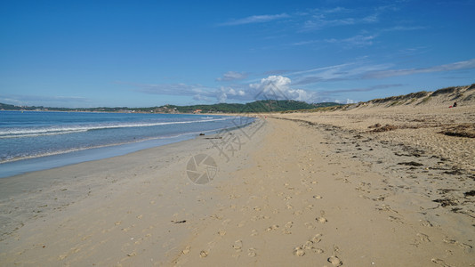 树林风景优美丽的海滩PlayadeALanzada靠近西班牙加利亚海岸OGrove夏天图片