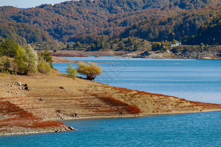 风景平多斯希腊北部埃皮鲁斯人造湖岸的景象希腊北部Epirus美丽图片
