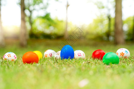 画复活节鸡蛋日快乐的打猎装饰品卡片庆典图片