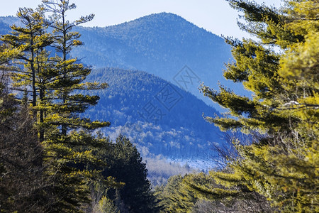 树干惊险山地景观户外图片