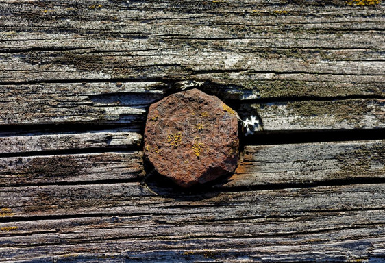 灰色的垃圾摇滚棕古老风湿木板上螺纹丝旧木板上的螺纹图片
