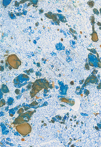 大理石纹海洋古代东方绘画技术Marble纹理漂亮图案马布林背景蓝色和硅油混合涂料墙图片
