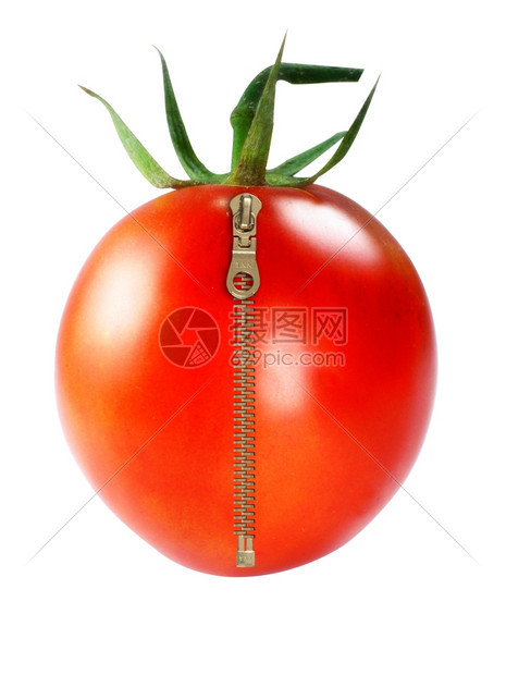 新鲜红西番茄白色背景上带拉链的鲜红西番茄健康圆形的概念图片
