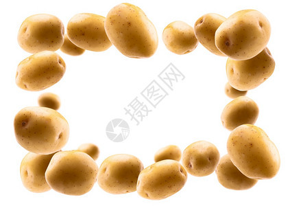 营养自然悬浮金色土豆漂在白背景上金土豆漂浮在白背景上图片