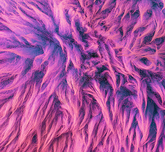 哺乳动物现代紫色软毛细动物皮肤地毯大型特端纹理背景Name粉色的奢华图片