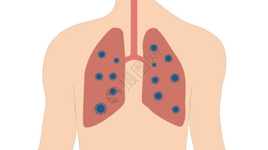 呼吸系统与肺部的人体免疫突然新冠背景图片