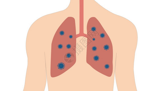 呼吸系统与肺部的人体免疫突然新冠图片
