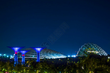 夜晚新加坡滨海湾花园风景图片