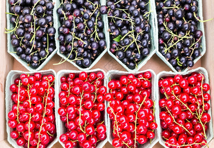 维生素颜色水果篮配有红浆和黑花盆的水甜点图片