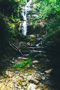 结石夏季森林河的山瀑布岸上有湿石和植物流动支撑图片