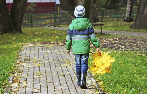 晴天孩子在秋散步男孩带着一束叶子来树干收集图片