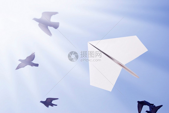 纸飞机带着鸟儿向太阳云喜悦目的地图片