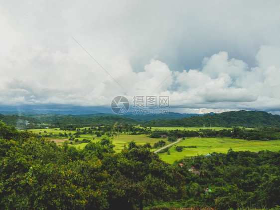 美丽的森林田地图片