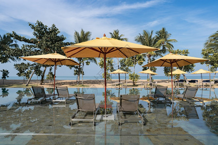 在海滩附近的热带度假旅馆游泳池中带黄色雨伞的甲板景观游客黄色的图片