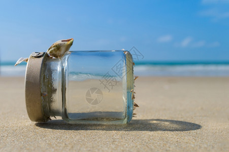 沙滩上的阳光海浪和玻璃瓶图片