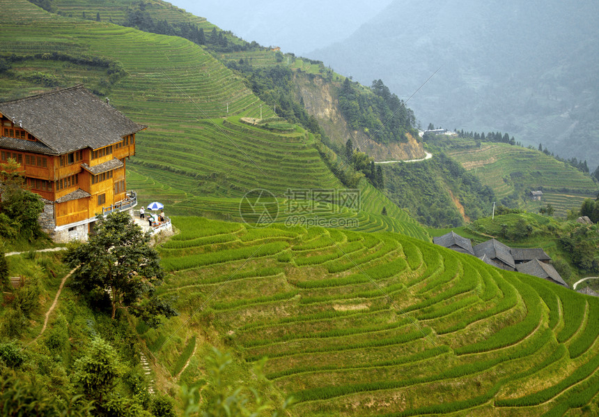 龙盛中广西地区Guilin附近的长城水稻台梯田大多建于650年前海拔20至6英尺海拔260英尺绿色图片