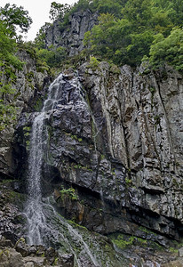 美丽草衬套保加利亚维托沙深森林和岩石中新的博亚纳瀑布保加利亚维托沙图片