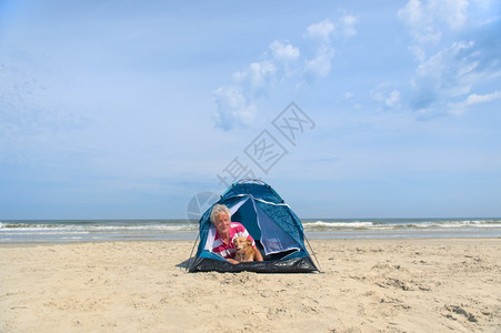 沙滩旁露营的旅客图片