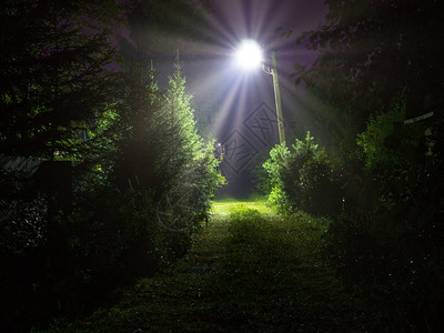 分支燃亮灯点村庄道路的照明灯在村庄道路上亮灯公园图片