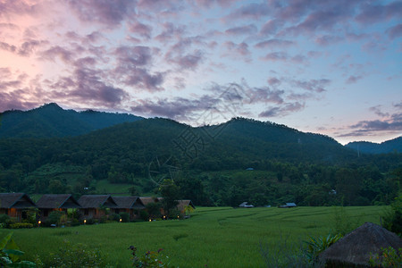 泰国PaiMaehongson村绿地庄优质的屋乡图片