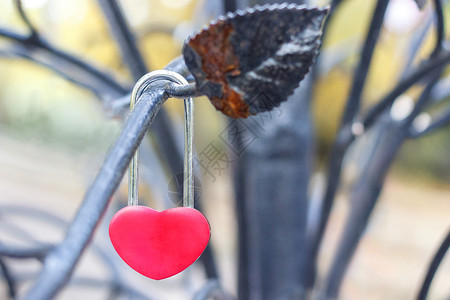 红锁以心脏的形式挂在一棵铁装饰的树枝上爱人传统是与忠诚的象征俄罗斯已婚户外浪漫图片