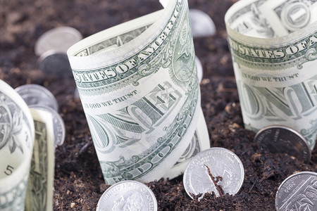 种子贷款更经常来自土壤中美元和硬币农业田地用土概念以美元货币兑换土壤成功图片