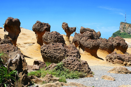 新北Yehliu地公园新台北和湾的蜂窝式蘑菇岩石风新的雕塑背景图片