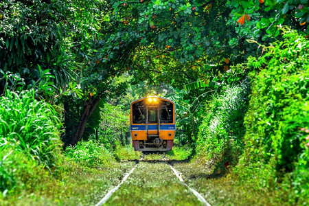 自然铁路运输通过泰国曼谷的树木隧道进行火车培训在泰国曼谷图片