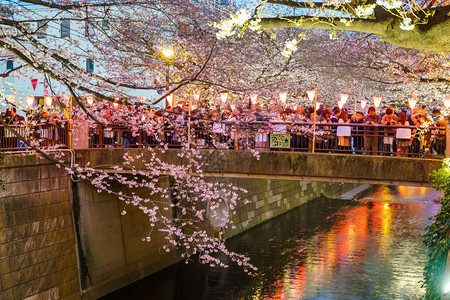 水旅行在日本东京的黄昏时在超级运河采樱花开地标图片