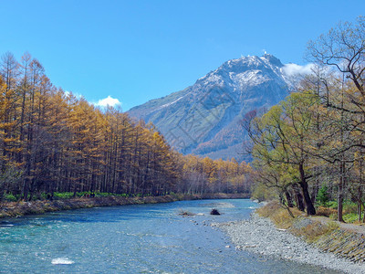 范围著名的观光Japanalps山的风景与自然林秋季在长野Kamikochi的蓝河图片