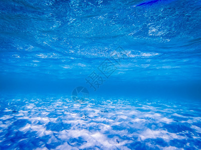 射线蓝色大洋水下背景蓝色的自然图片