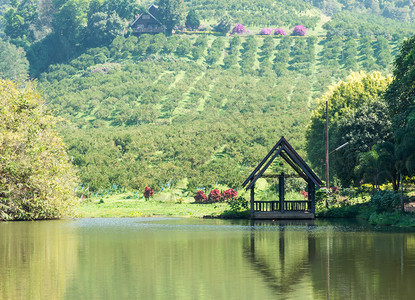 花园农村场清湖边的木林小馆子安宁爬坡道图片