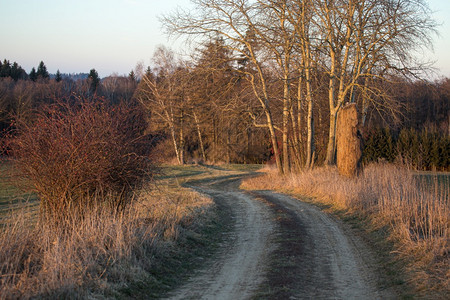 日落时森林的路径蒙环境季节图片