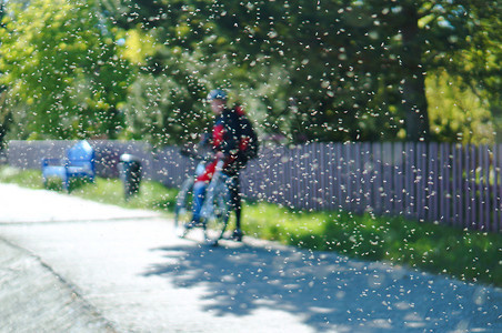 头盔景观生活夏季的蚊子一群稻草虫和骑自行车的人夏季昆虫云和赛克林人图片
