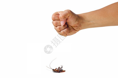 天线死的风险旨在杀蟑螂的双手紧握着模拟昆虫感染图片