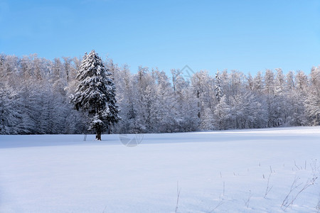 冬季雪山雪景图片