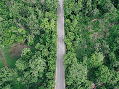 绿色森林道路的空中透视以农村道路为奇异地貌爬坡道稻田山图片