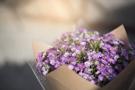 带阳光的紫花束钟木制的美丽图片