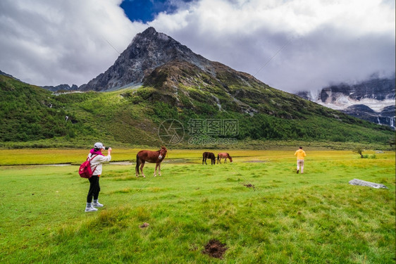 地点亚丁自然保护区的马在四川道成一幅有名的风景夏天藏图片
