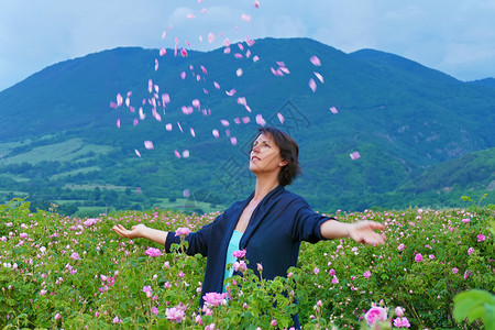 爱基本的在保加利亚玫瑰谷中的妇女投掷花瓣香气背景图片