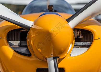 胎草航空单一发动机螺旋桨飞前视线图片