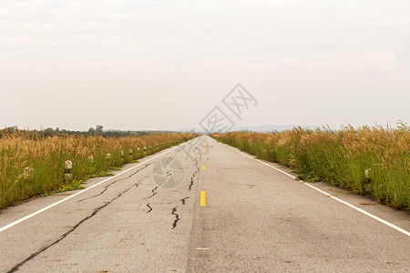 树草地农村区有牧场的公路天云背景运输图片