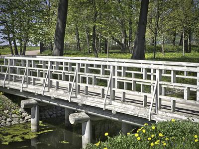森林植物群夏季公园的小型木桥在公园的伍德恩桥户外图片