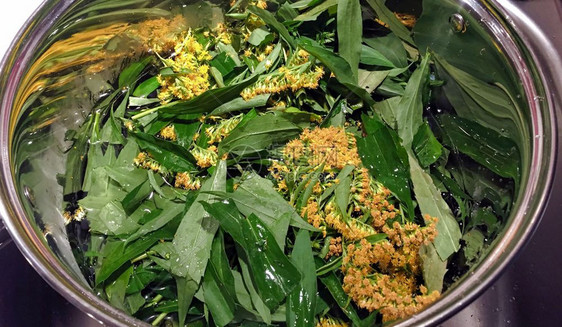 自然热带植物群美味的自生产用己的花园生产健康食品图片