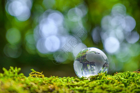 地球天生物拯救世界的理念了环境世界处于绿布基背景的草丛中图片