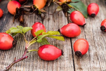 药物灌木红莓和玫瑰花叶在木制桌上红莓和玫瑰树叶在木制桌子C上束图片
