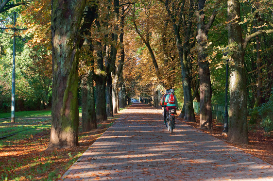 2018年9月6日俄罗斯加里宁格勒骑自行车的人沿城市小巷骑自行车的人沿城市小巷骑自行车的人日落外部辆图片