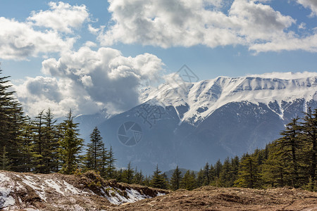 户外树木土耳其的冰雪和山风景旅游图片