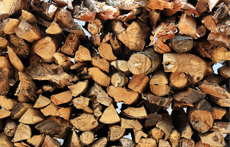 细节记录新鲜的砍伐树林和木材采业的林图片